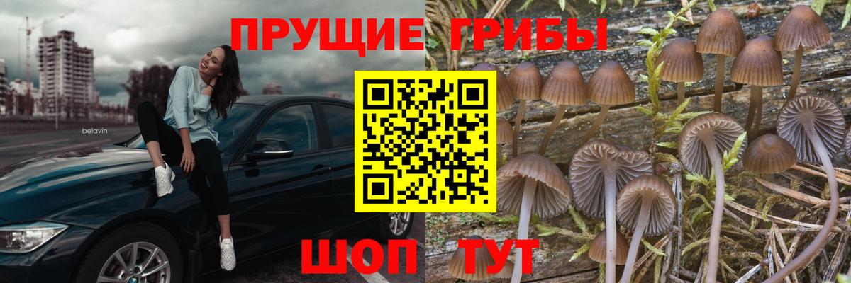 Пушкино  Галлюциногенные грибы мицелий  Вход с VPN 